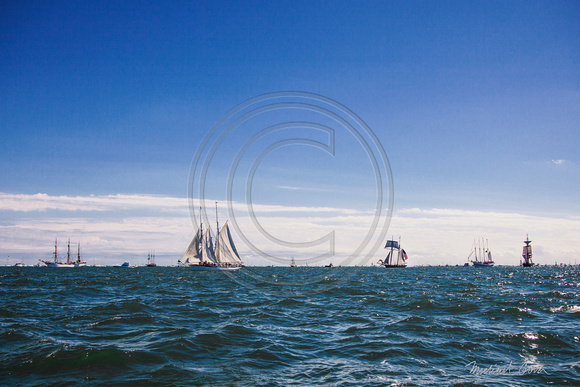 Seven Tall Ships in One Photo