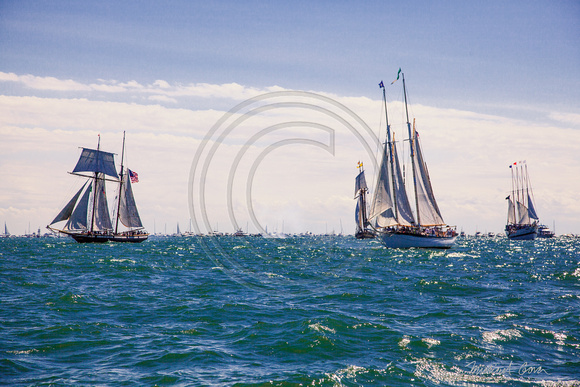 The Lynx, Pride of Baltimore II, Appledore IV and Windy