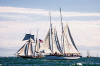 The Lynx and the Appledore IV